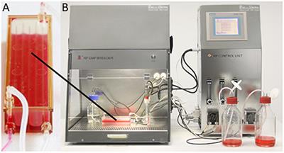 Mass Production of Highly Active NK Cells for Cancer Immunotherapy in a GMP Conform Perfusion Bioreactor